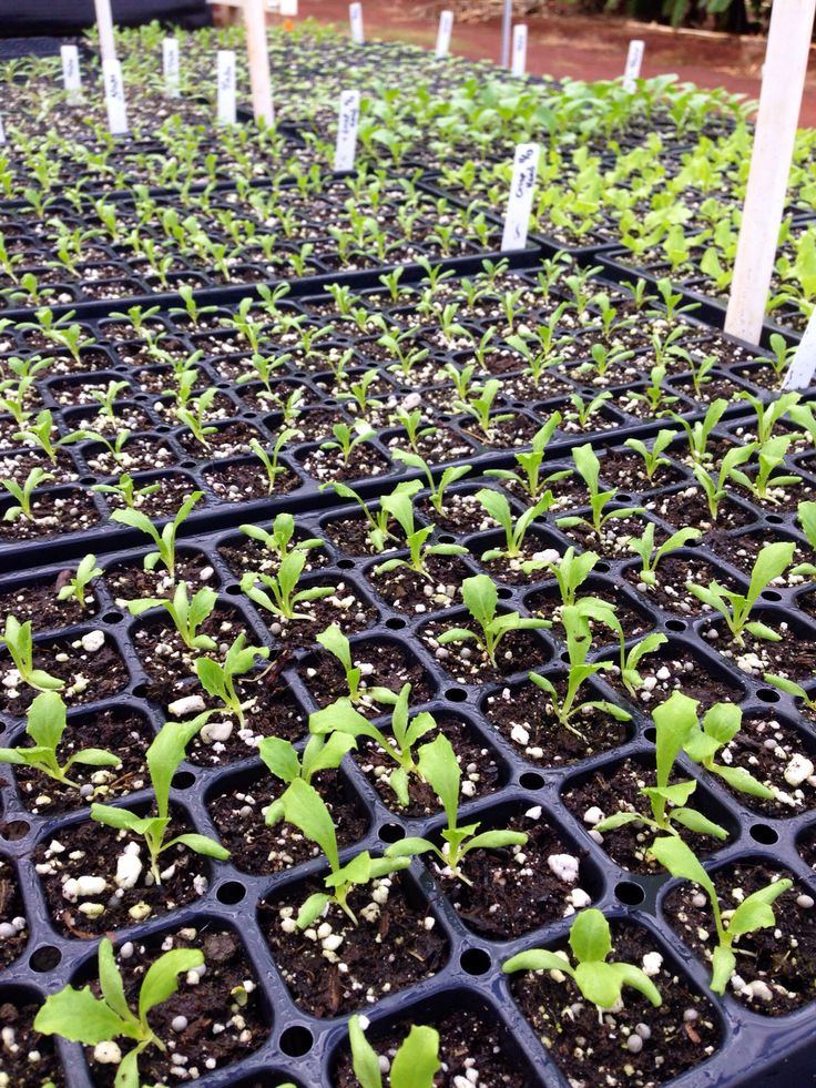 GreenHarvest — Ferme intégrée